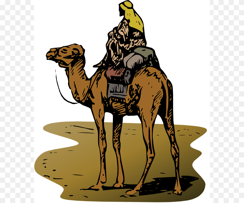 Gerald G Camel With Rider, Animal, Mammal, Adult, Male Free Png Download