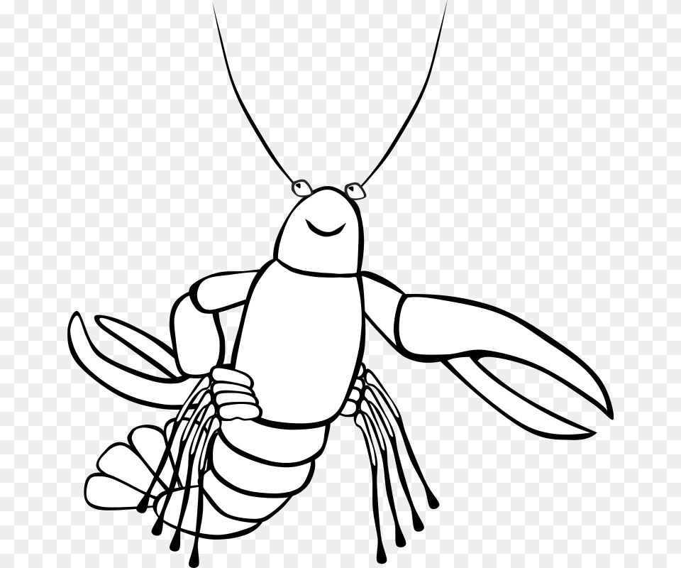 Gerald G Crawfish, Stencil, Animal, Fish, Sea Life Free Png Download