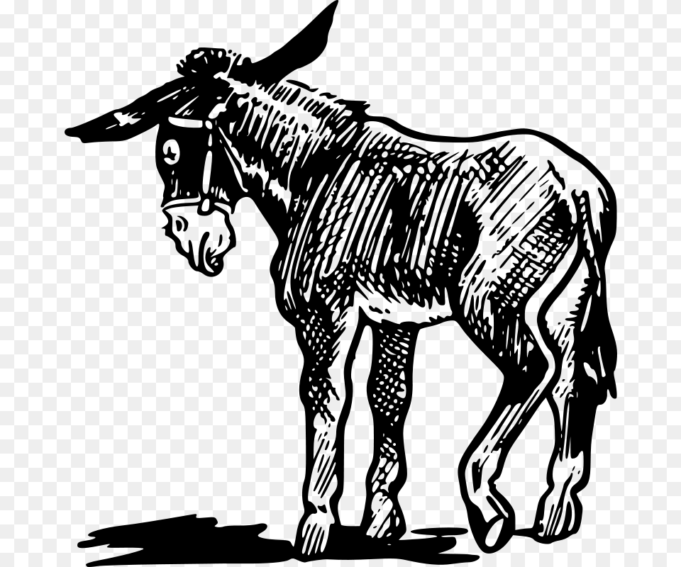 Gerald G Donkey, Gray Free Png Download