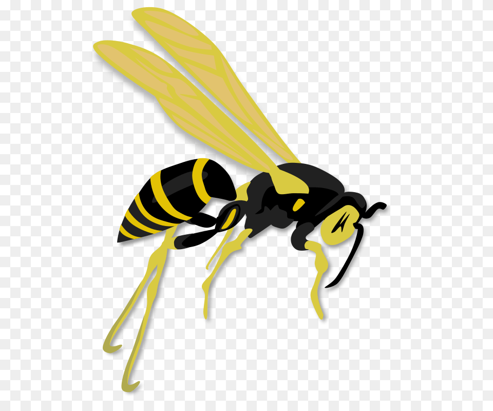 Gerald G Flying Wasp, Animal, Bee, Insect, Invertebrate Free Png