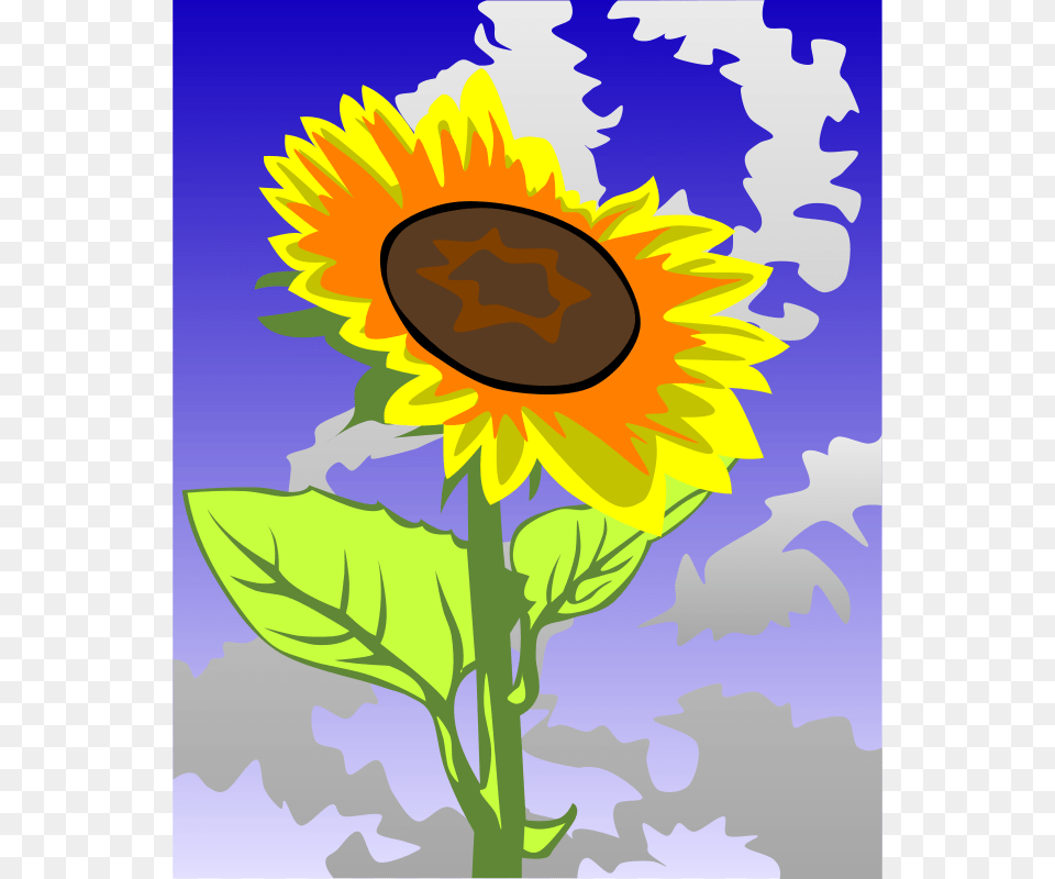 Gerald G Sunflower, Flower, Plant Png