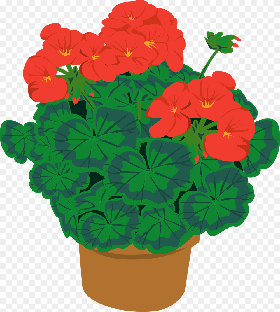 Geramium In A Pot Clipart, Flower, Geranium, Plant Free Transparent Png