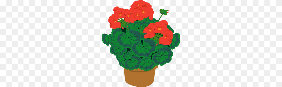 Geranium In Pot Clip Art, Flower, Plant Png Image