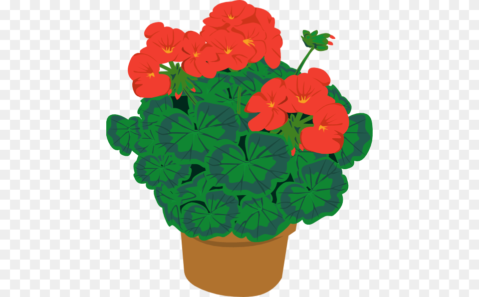 Geranium In Pot Clip Art Vector, Flower, Plant Free Png