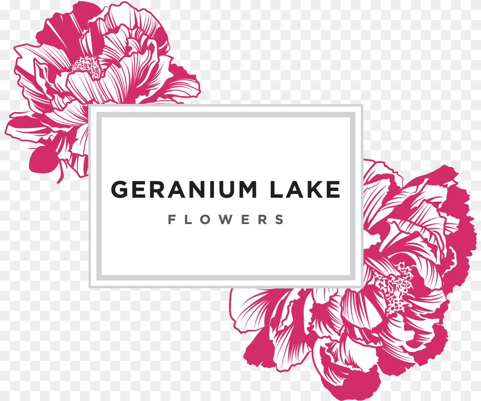 Geranium Lake Geranium Lake Flowers Logo, Carnation, Flower, Plant, Rose Free Transparent Png