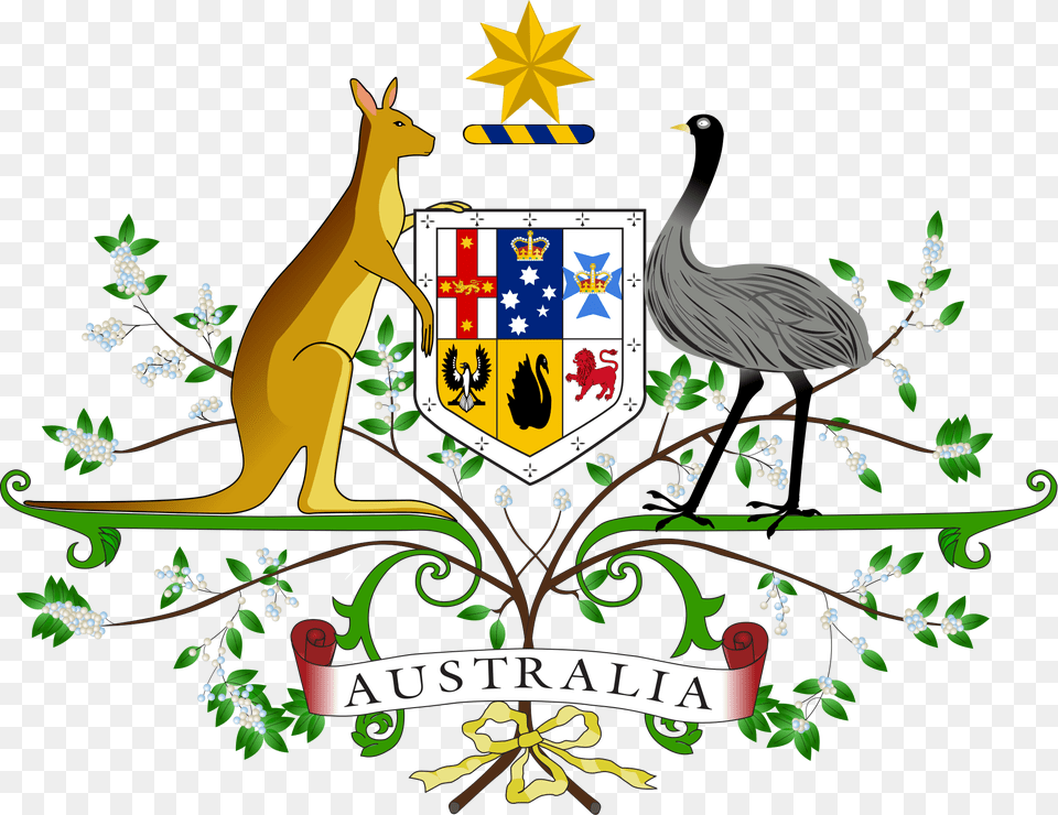 Gerb Australia Star Usa Coat National Arms Clipart Coat Of Arm Australia, Animal, Bird Free Transparent Png