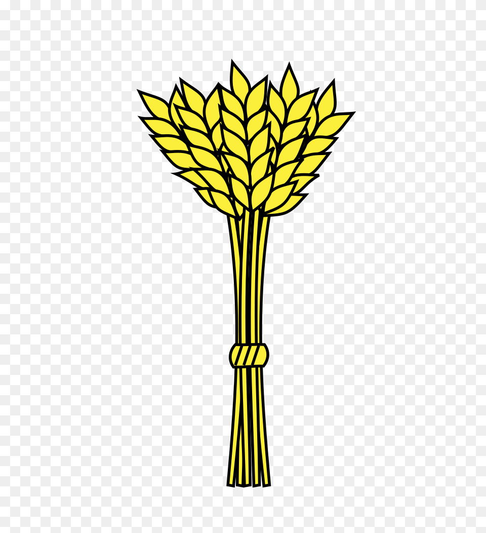 Gerbe Rameaux, Plant Free Png