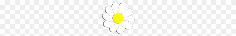 Gerber Daisy Clipart Clip Art, Anemone, Flower, Plant, Petal Png