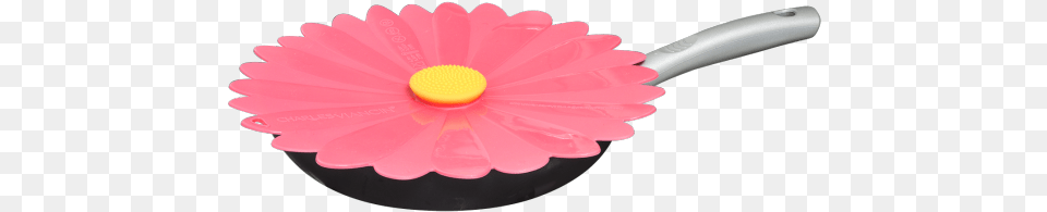 Gerbera, Cooking Pan, Cookware, Flower, Plant Free Transparent Png