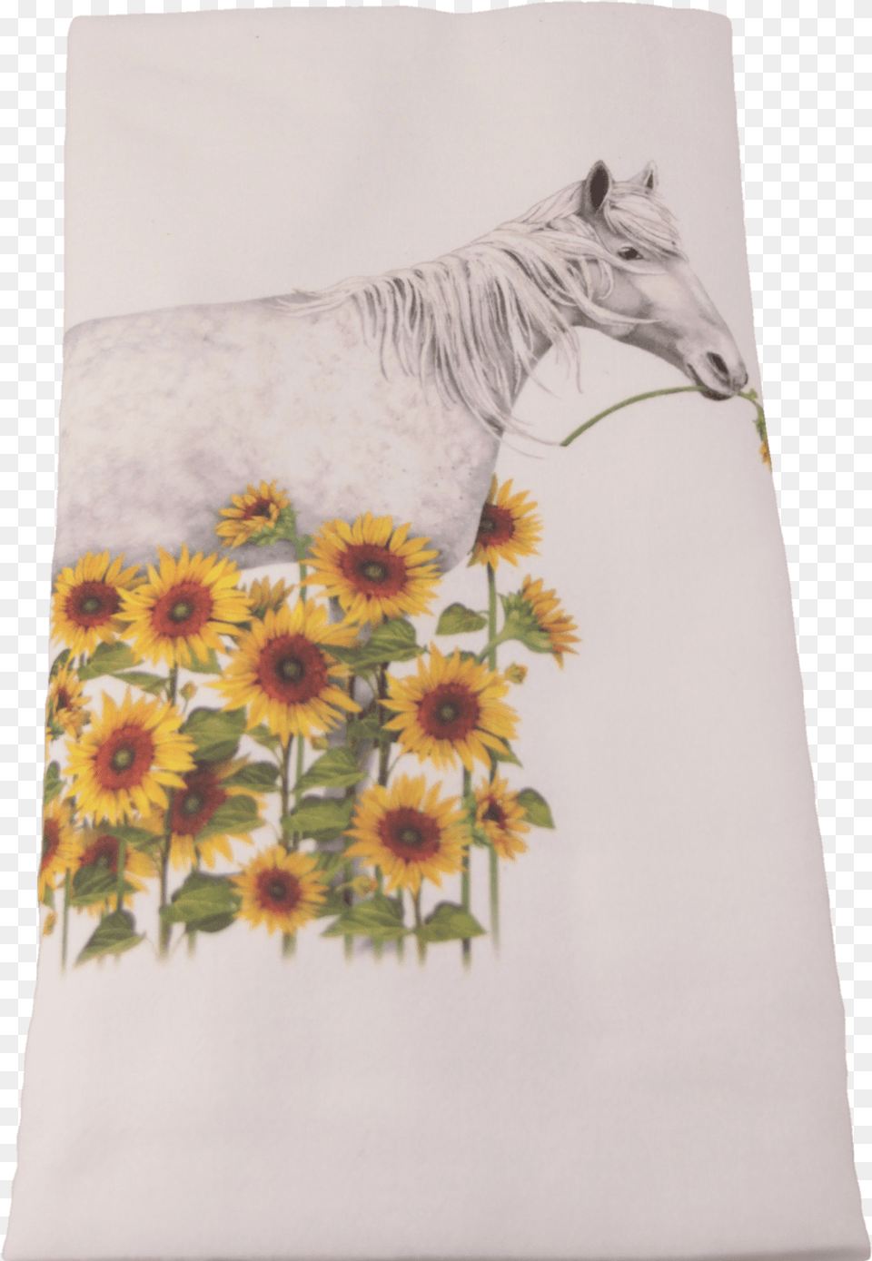 Gerbera, Plant, Flower, Sunflower, Pattern Png Image