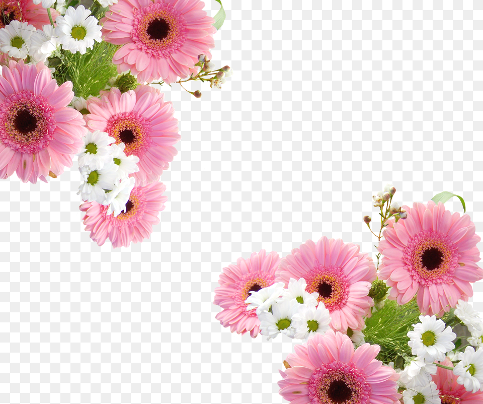 Gerbera Daisy, Flower, Flower Arrangement, Flower Bouquet Free Png