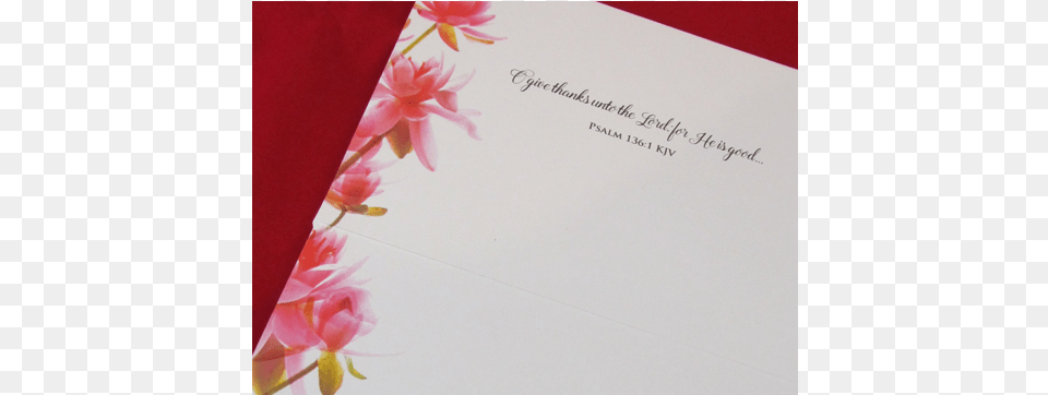 Gerbera, Envelope, Greeting Card, Mail Png Image
