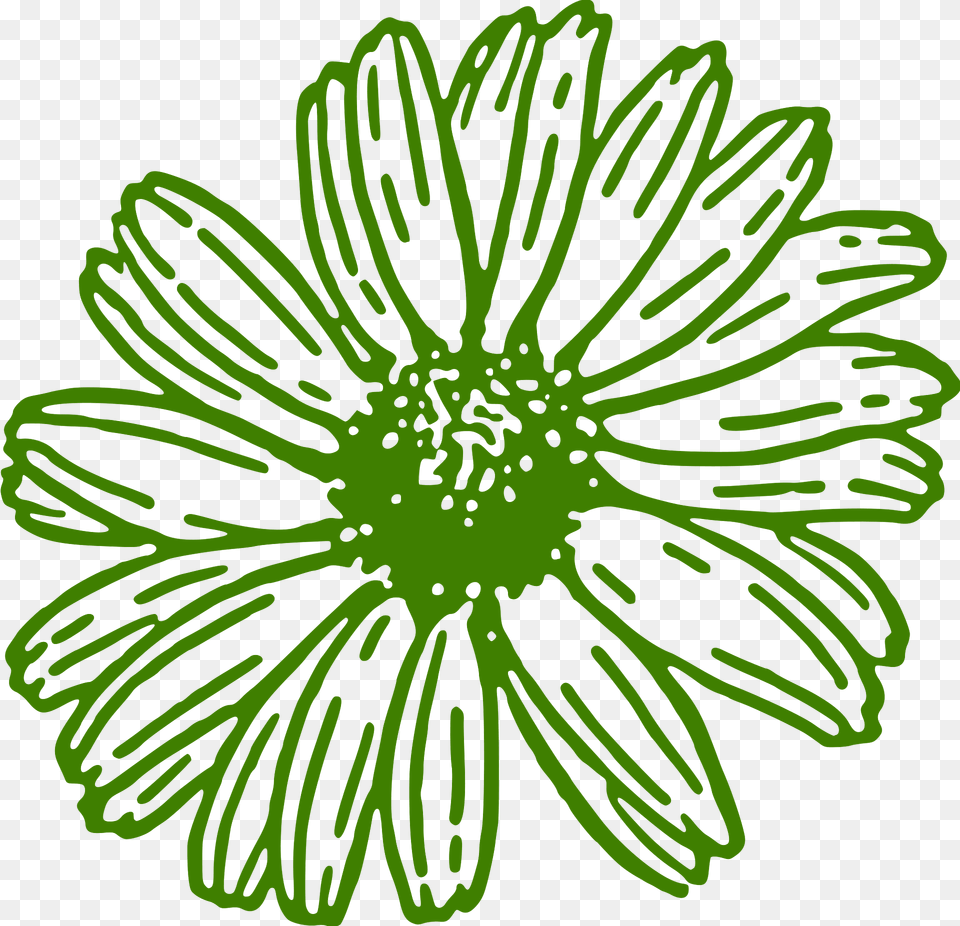 Gerbera Clipart, Plant, Pattern, Flower, Daisy Png