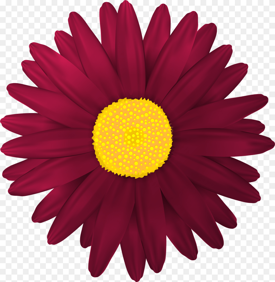 Gerbera Clipart Red Flower Odd Flowers Free Png Download