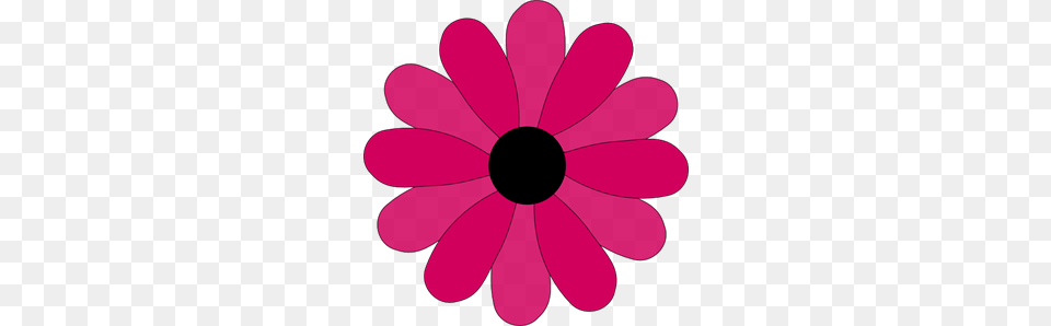 Gerbera Icon Cliparts, Daisy, Flower, Petal, Plant Png