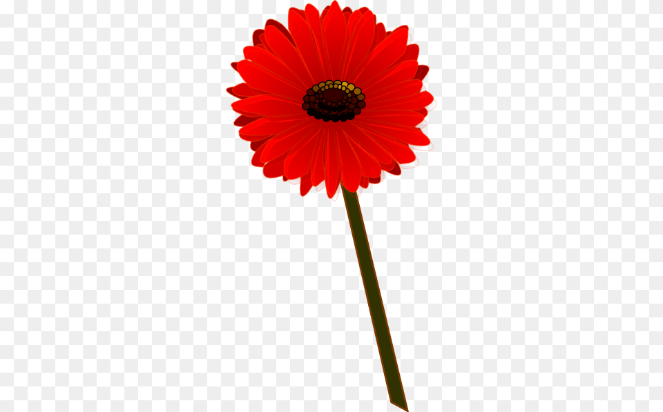 Gerbera Roja Bonita Clip Art, Dahlia, Daisy, Flower, Plant Free Transparent Png