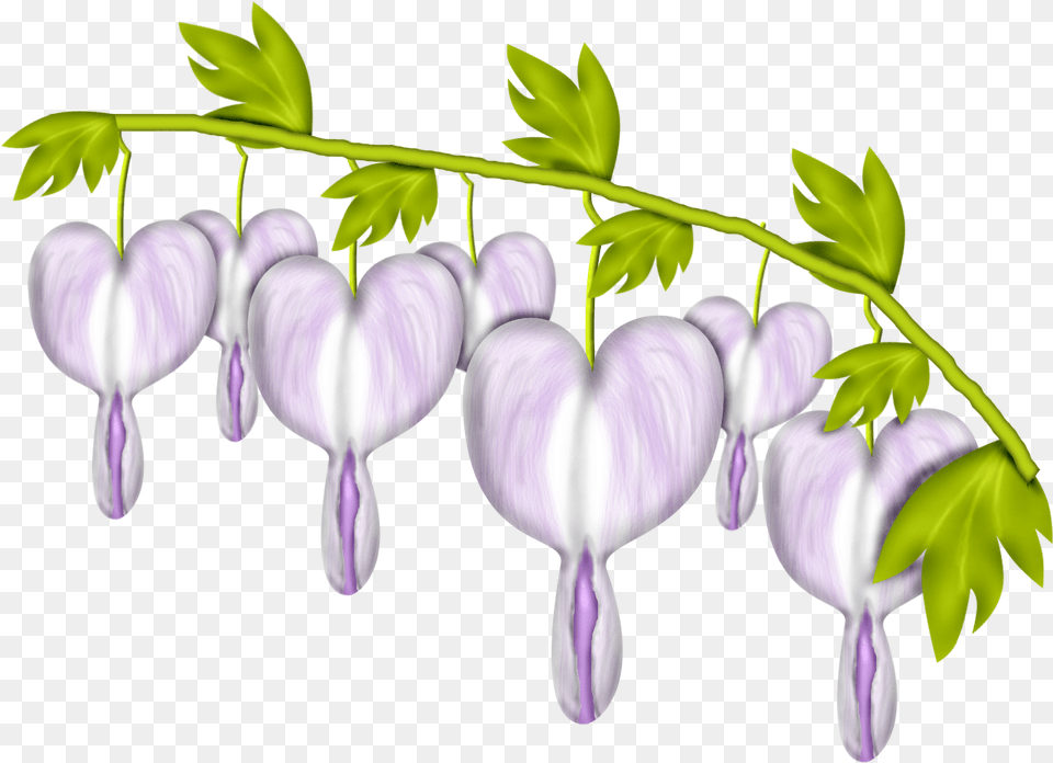 Gerdas Scraps Category Clip Art, Flower, Plant, Acanthaceae, Purple Free Png Download