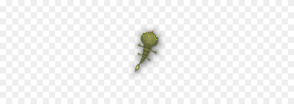 Germ Animal, Gecko, Lizard, Reptile Free Png