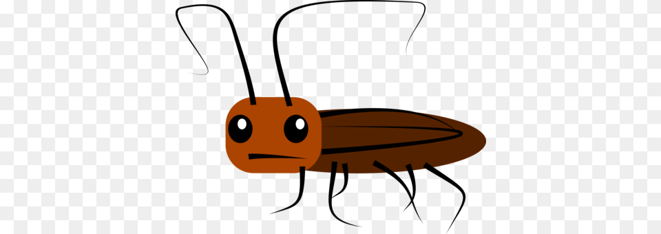 German Cockroach Pest American Cockroach Drawing, Animal, Wildlife, Face, Head Free Transparent Png