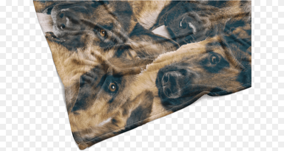 German Shepherd, Home Decor, Cushion, Blanket, Animal Png Image