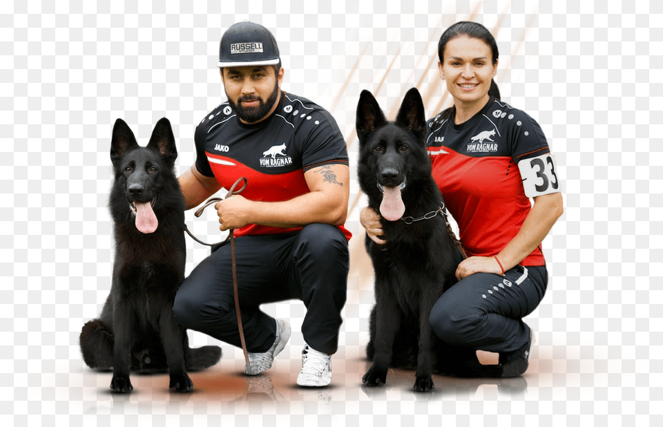 German Shepherd, Mammal, Pet, Dog, Police Dog Png