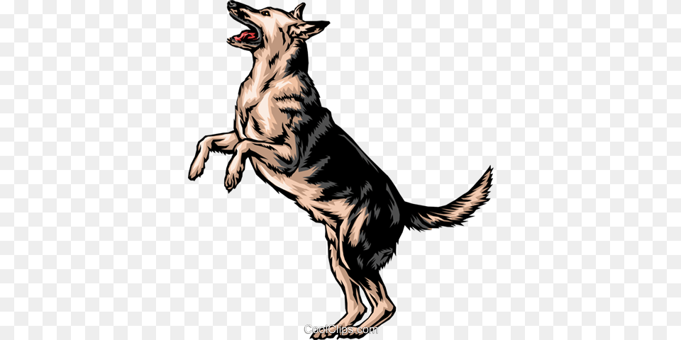 German Shepherd, Animal, Canine, Dog, German Shepherd Free Png Download