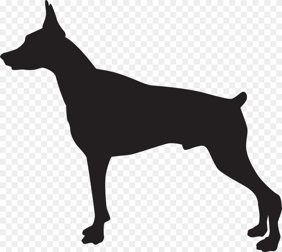 German Shepherd, Animal, Canine, Dog, Mammal Png Image