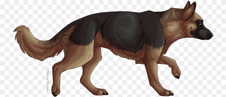 German Shepherd Art, Animal, Canine, Dog, German Shepherd Png