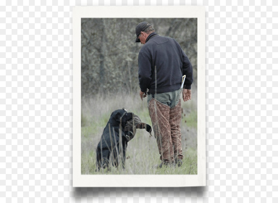 German Shepherd Dog, Adult, Person, Man, Male Free Transparent Png