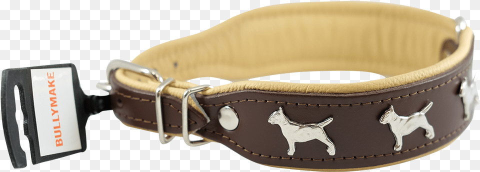 German Shepherd Dog, Accessories, Collar, Animal, Canine Free Transparent Png