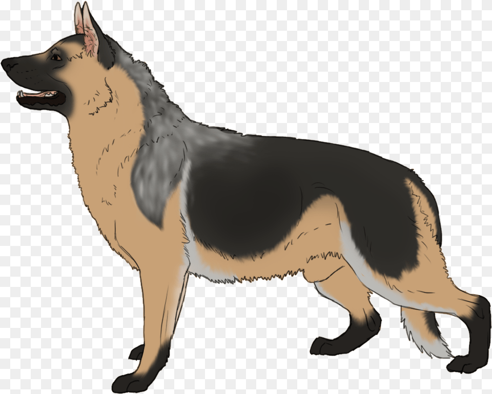 German Shepherd Kunming Wolfdog Dog Breed Clip Art, German Shepherd, Animal, Canine, Pet Free Png