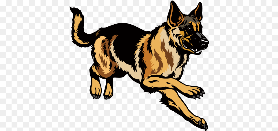 German Shepherd Puppy Stock Photography Clip Art, Animal, Canine, Mammal, Dog Png