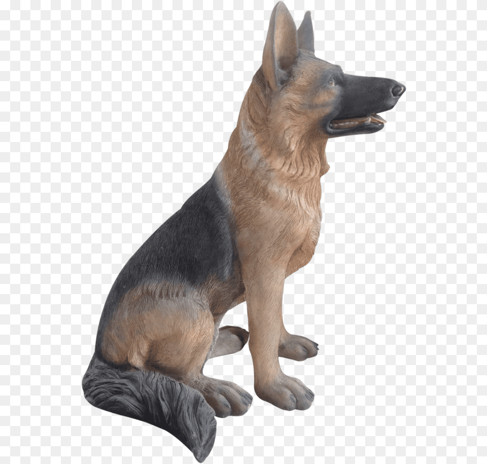 German Shepherd Sitting, Animal, Canine, Dog, German Shepherd Free Png