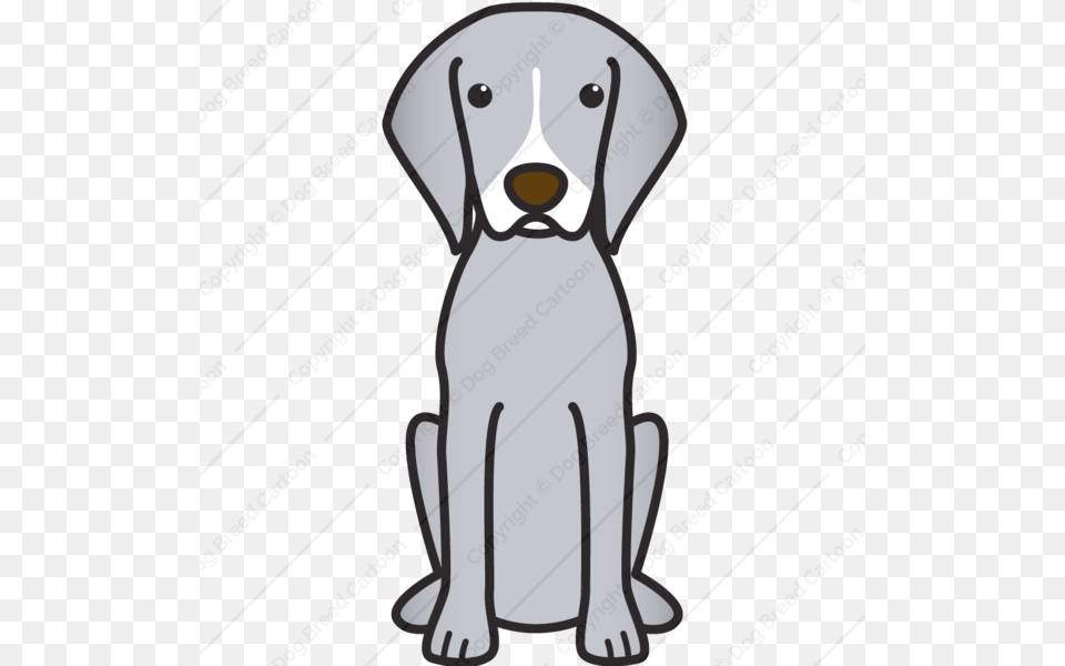 German Shorthaired Pointer, Animal, Canine, Mammal, Pet Free Transparent Png