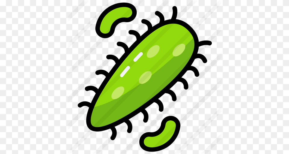 Germs Clip Art, Food, Produce, Cucumber, Plant Free Png Download
