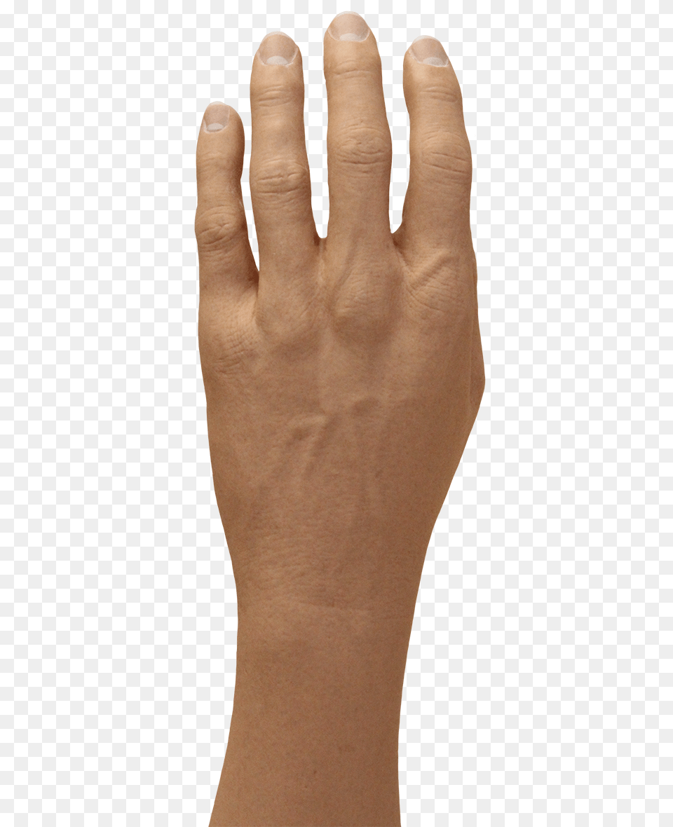 Gesture, Body Part, Hand, Person, Wrist Free Png Download