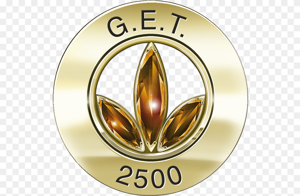 Get 25 Herbalife Pin, Gold, Logo, Badge, Emblem Png Image