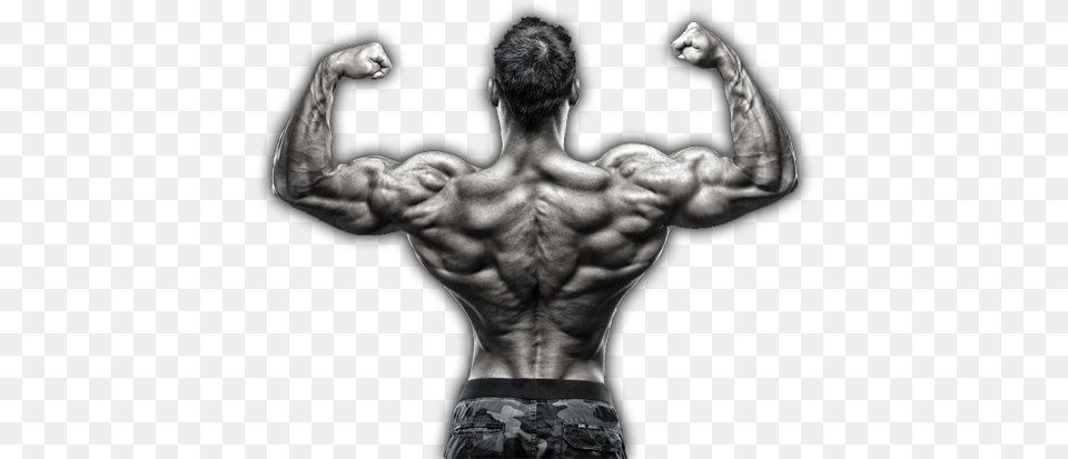 Get A Stronger Leaner Best Exercise For Traps Muscles, Back, Body Part, Person, Adult Free Transparent Png