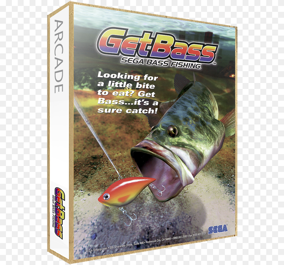 Get Bass Games Download For Pc Full Version Fishing, Animal, Fish, Sea Life Png Image