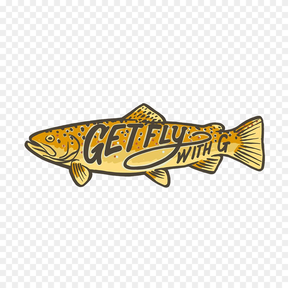 Get Fly With G Brown Trout, Animal, Fish, Sea Life Png