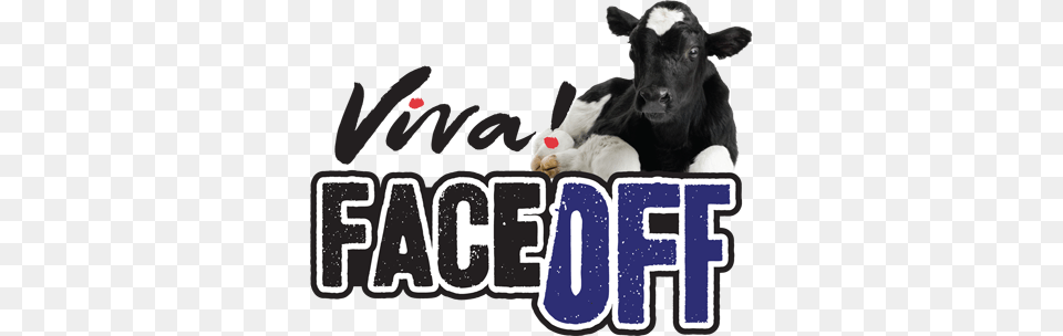 Get Involved Viva, Animal, Cattle, Cow, Livestock Png Image