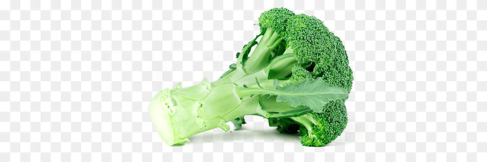 Get More From Me Broccoli, Food, Plant, Produce, Vegetable Free Png