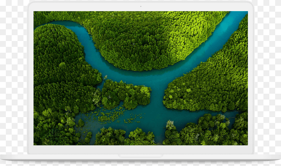 Get More From Your Internet Service Provider Map, Woodland, Water, Vegetation, Tree Png Image