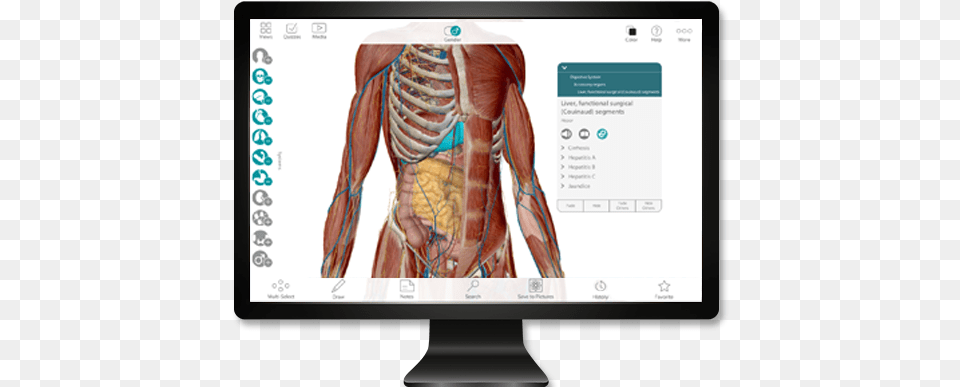 Get Our Awesome Anatomy Emails Visible Body 2017, Computer Hardware, Electronics, Hardware, Monitor Png