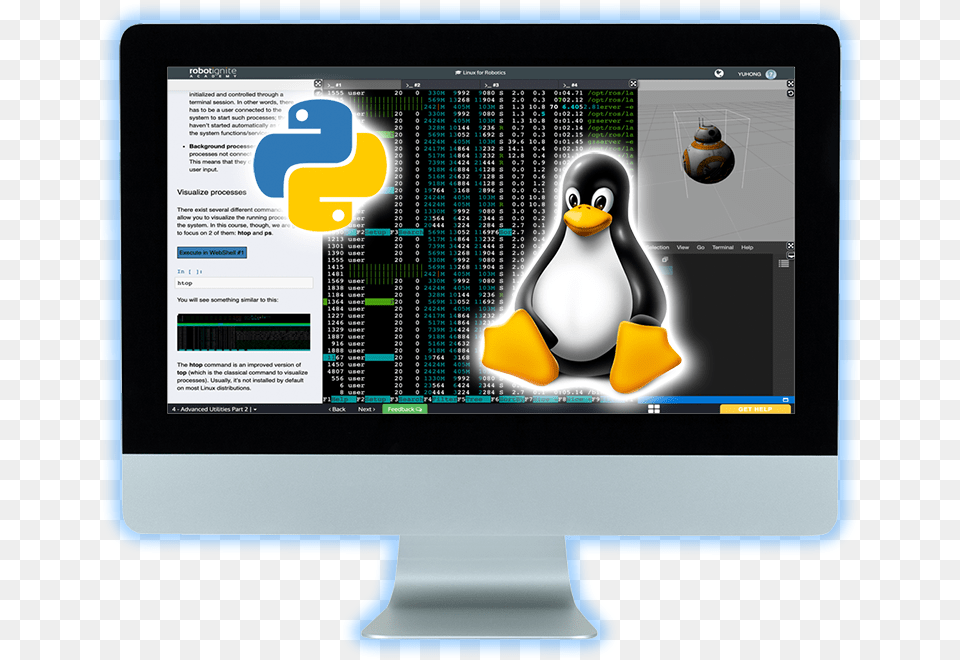 Get Python Amp Linux Ready Adlie Penguin, Animal, Bird, Screen, Monitor Free Png