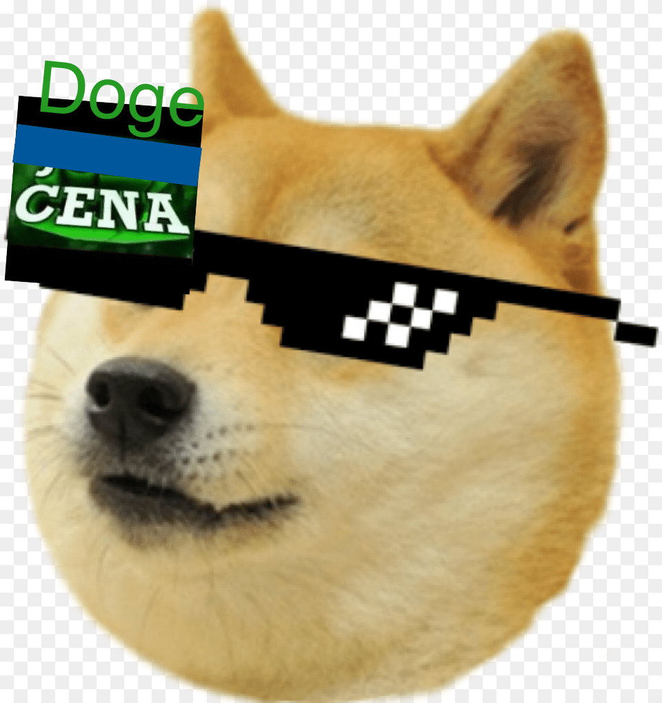Get Rekt Glasses Doge Emoji For Discord, Snout, Animal, Canine, Dog Png Image