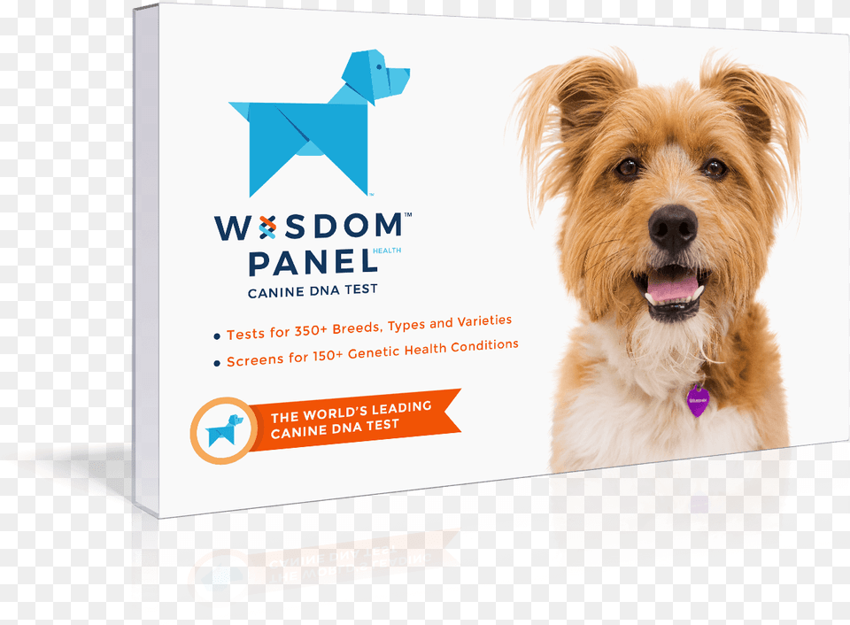 Get Started White Wisdom Panel, Advertisement, Poster, Animal, Canine Free Png