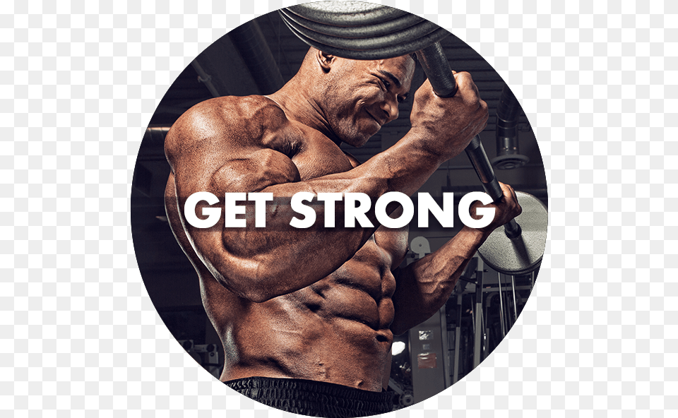 Get Strong Label, Adult, Male, Man, Person Png