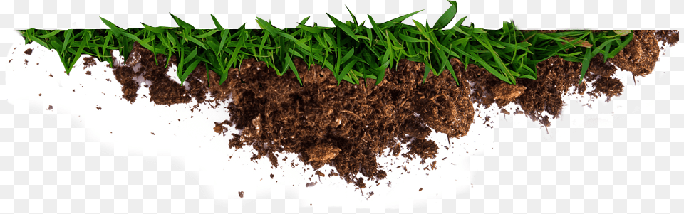 Get The Dirt On Better Gardening And Greener Living Root, Soil, Plant, Grass Free Png Download