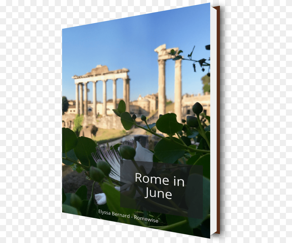 Get The Rome In June E Book Today And Take It With Column, Architecture, Pillar, Building, Parthenon Free Png